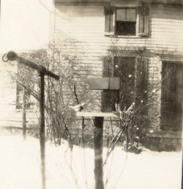 Black and white snapshot of a bird on a bird feeder. In the background there is a building. There is snow on the ground.